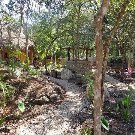 Bed and Breakfast Casa Mango à Tulum Extérieur photo