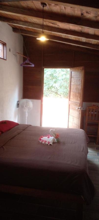 Bed and Breakfast Casa Mango à Tulum Extérieur photo