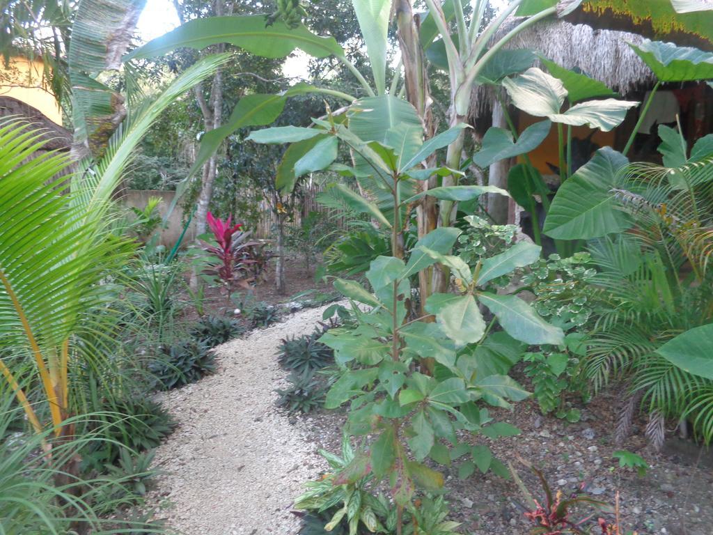 Bed and Breakfast Casa Mango à Tulum Extérieur photo