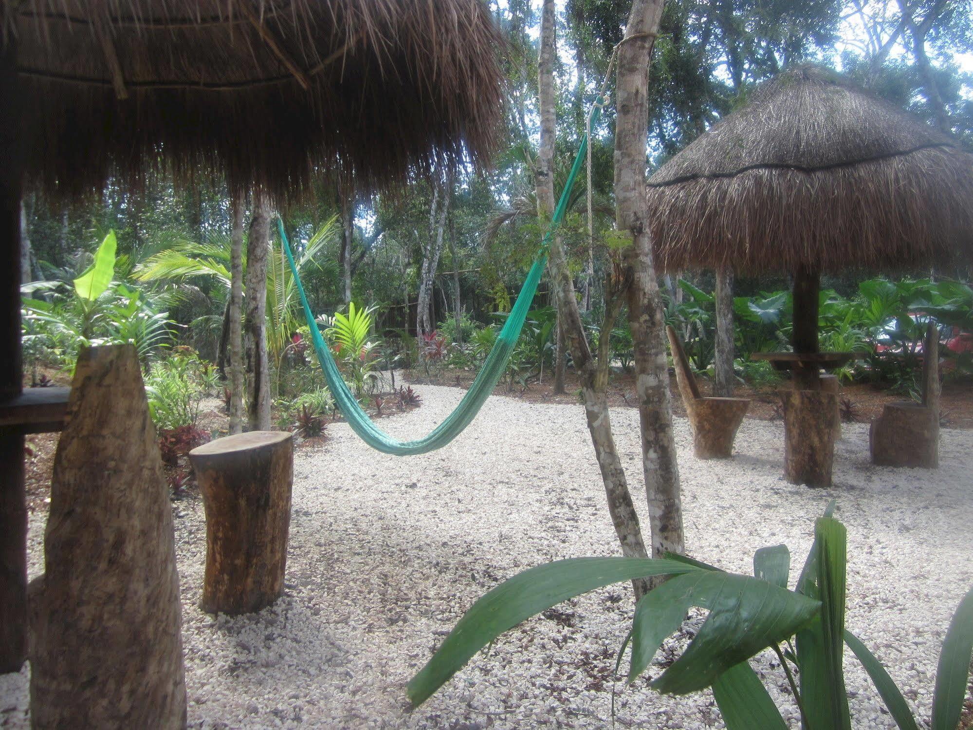 Bed and Breakfast Casa Mango à Tulum Extérieur photo