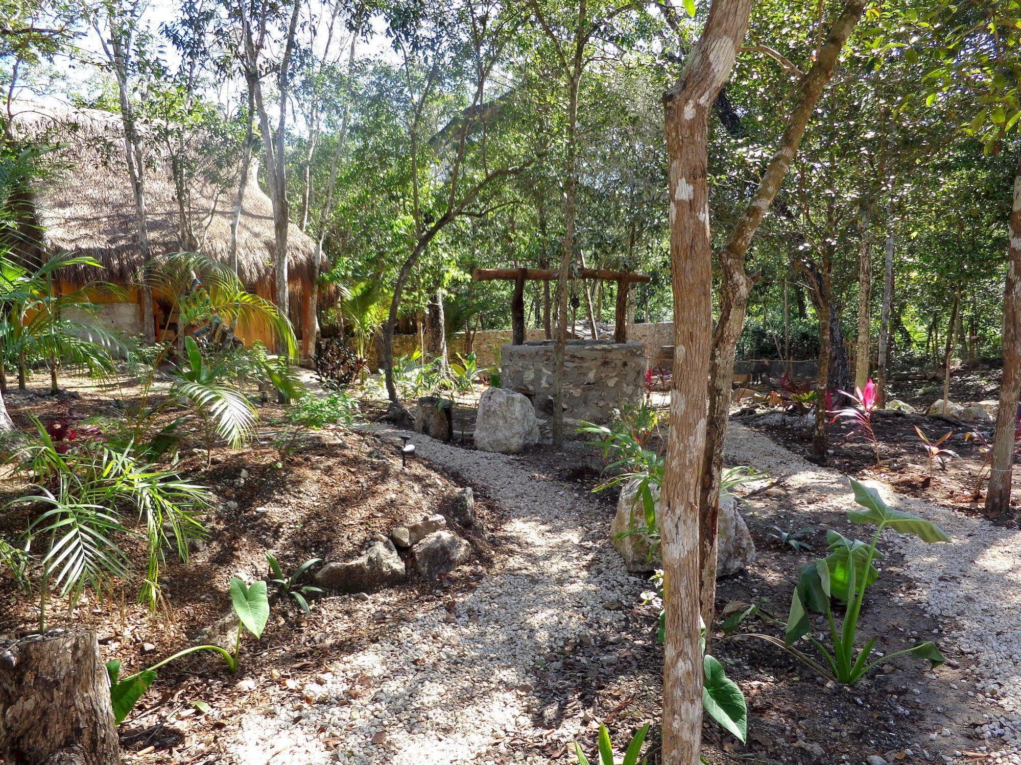 Bed and Breakfast Casa Mango à Tulum Extérieur photo