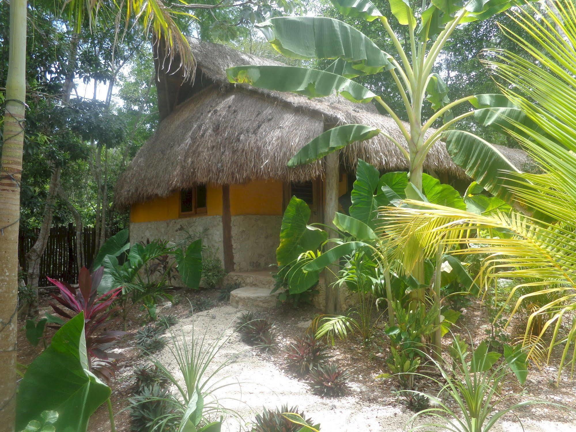 Bed and Breakfast Casa Mango à Tulum Extérieur photo