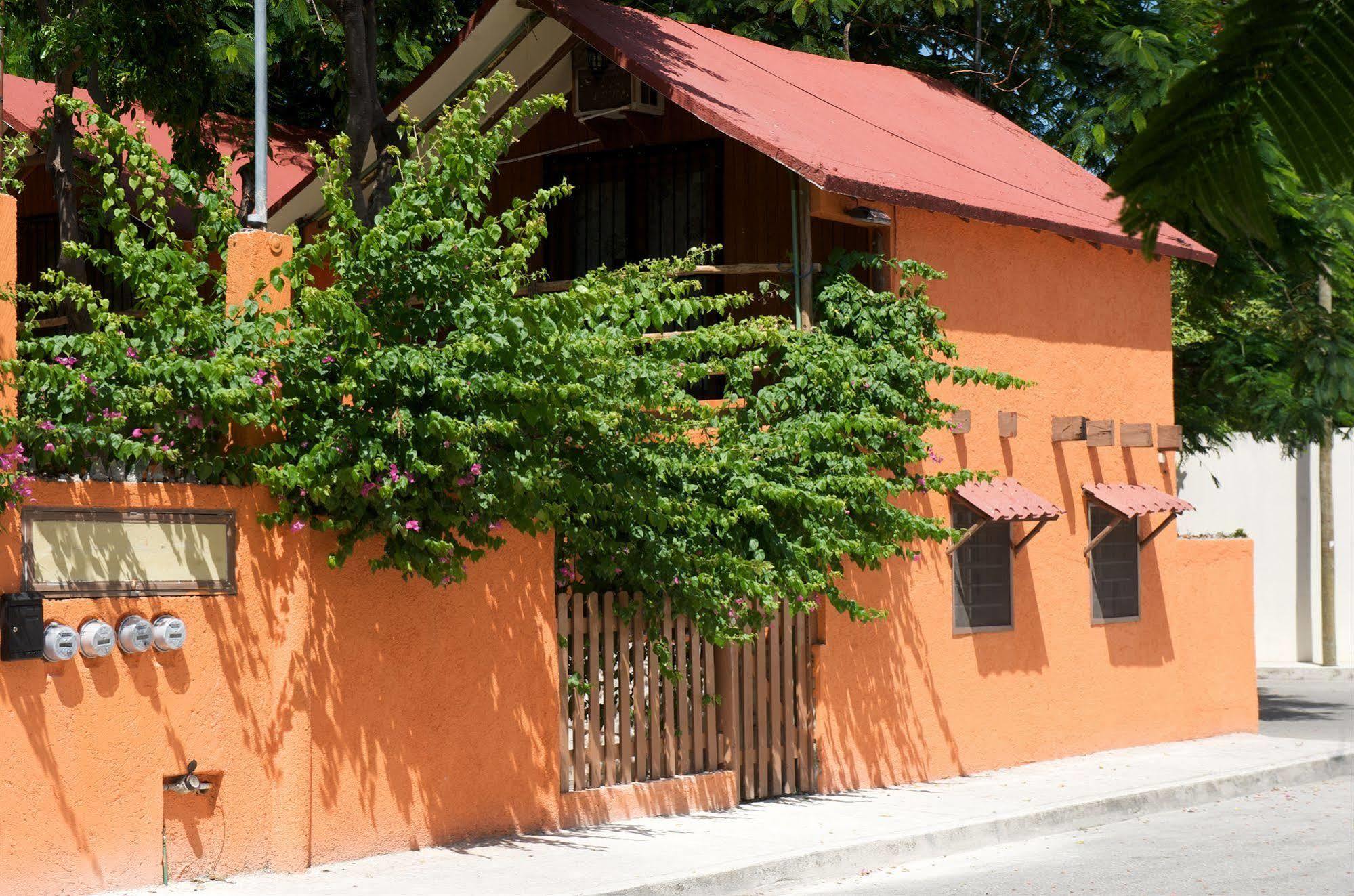 Bed and Breakfast Casa Mango à Tulum Extérieur photo